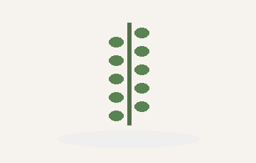 Vine plant preview
