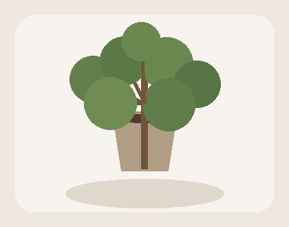 Olive tree preview