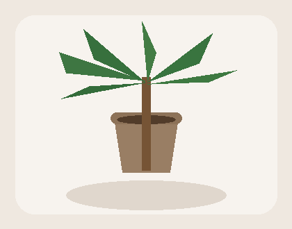 Potted palm preview
