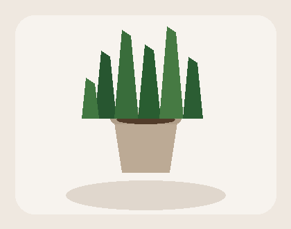 Snake plant preview